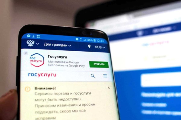 Работает ли кракен