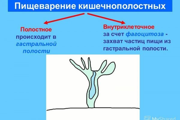 Кракен как зайти на сайт